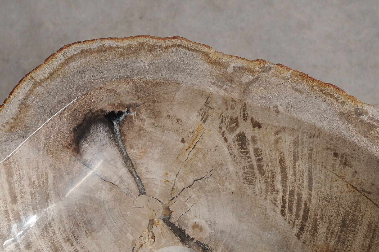 Lavabo da appoggio in legno fossile - 60418