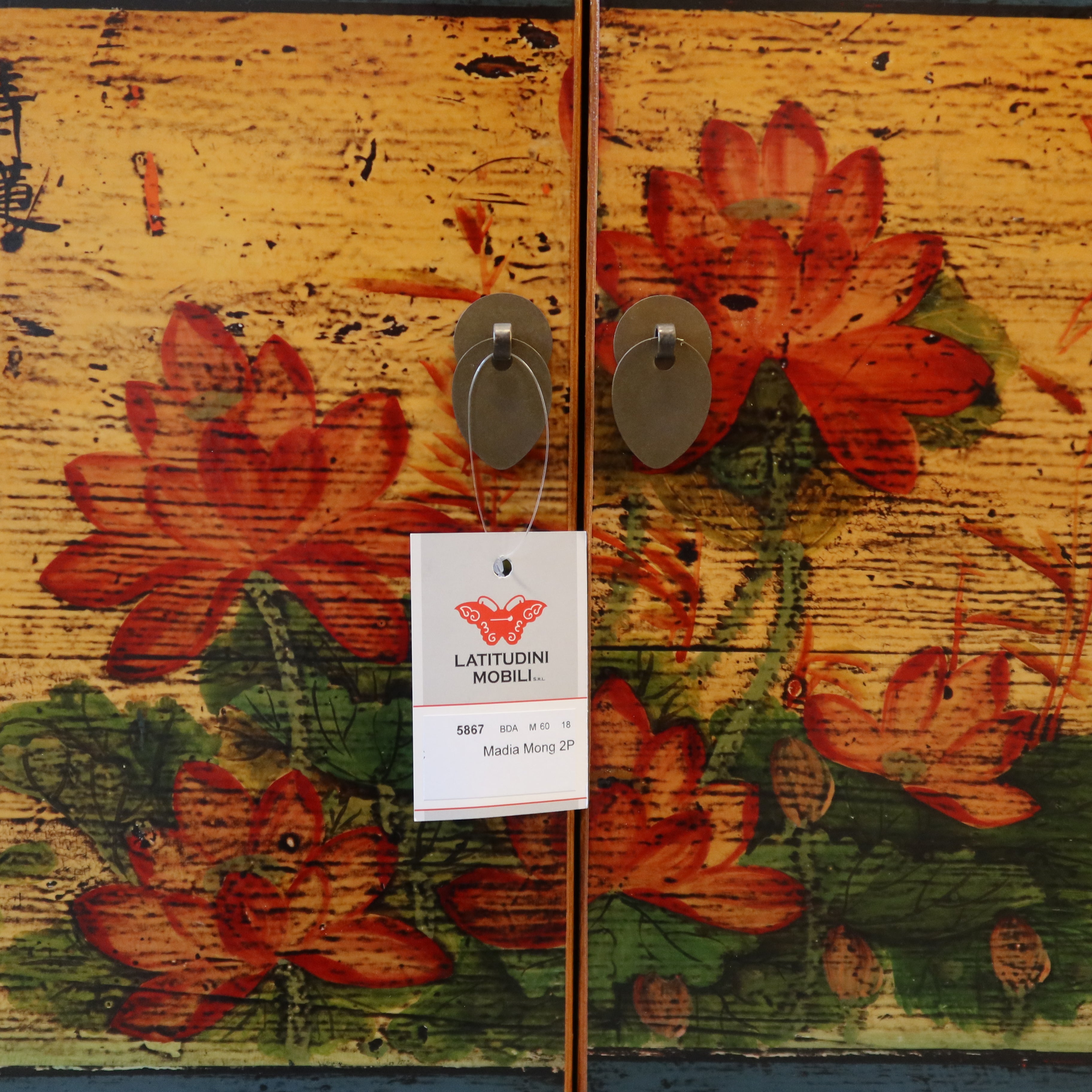 MADIA MONGOLIA DECORATA