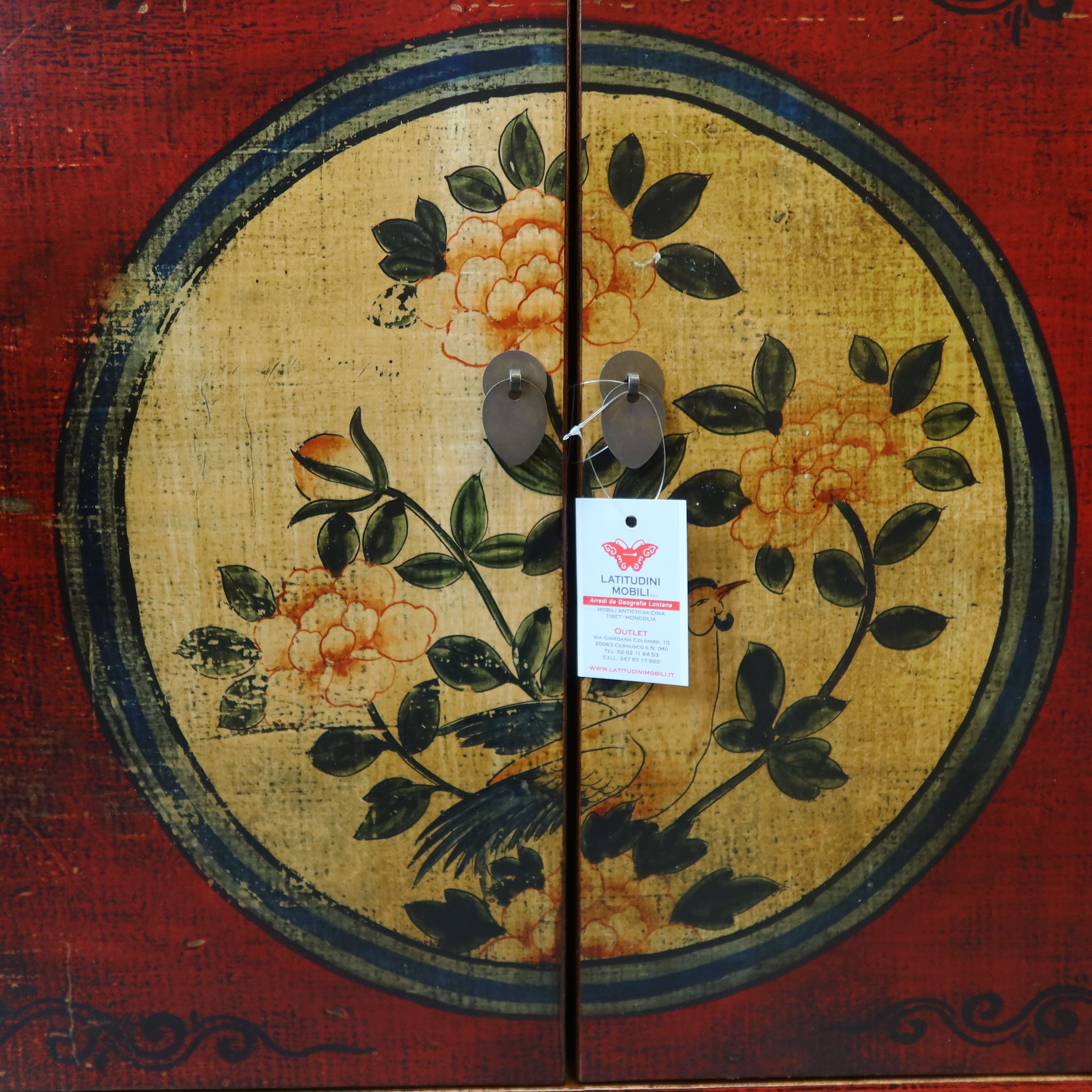 MADIA MONGOLIA DECORATA