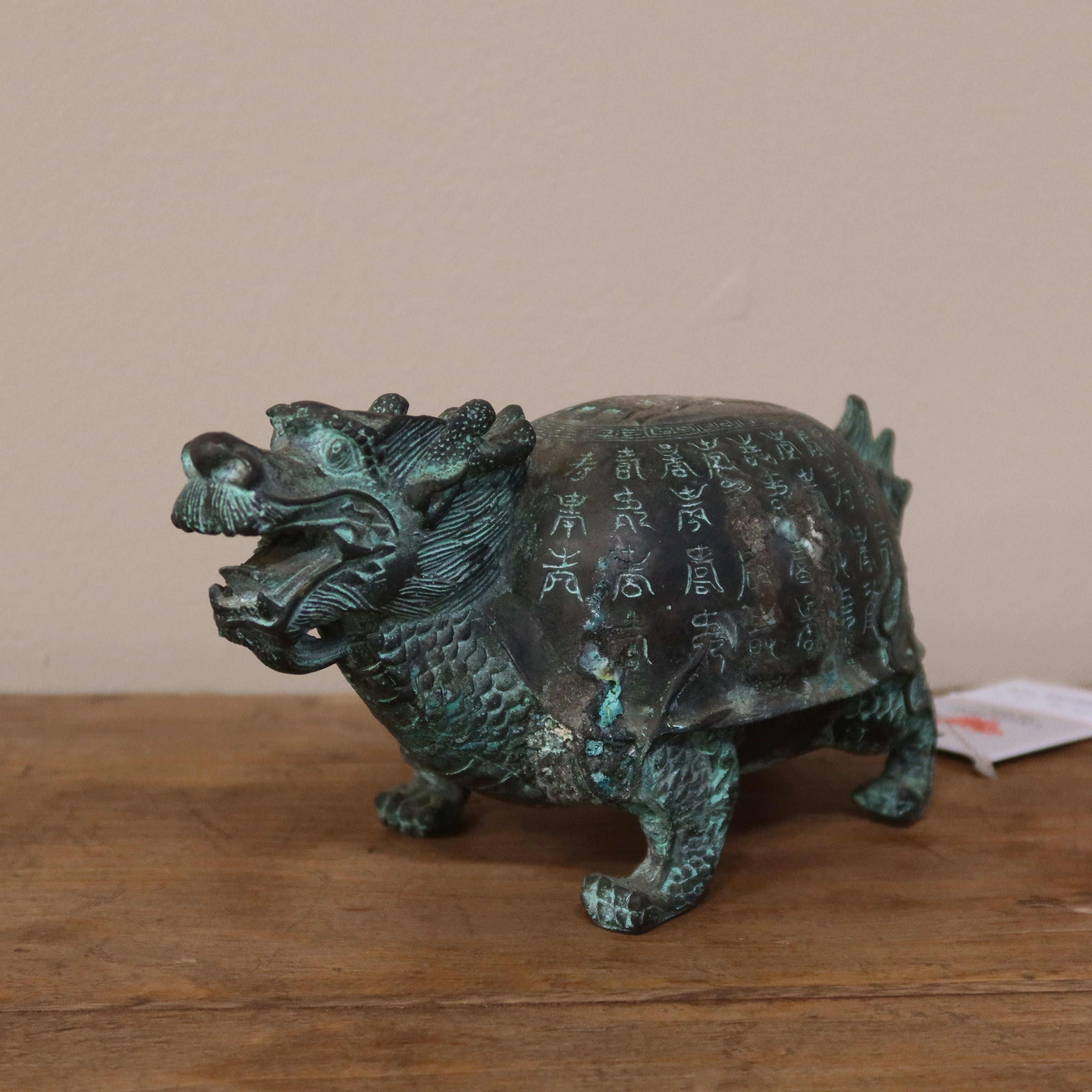 TARTARUGA "BIXI" IN LEGA