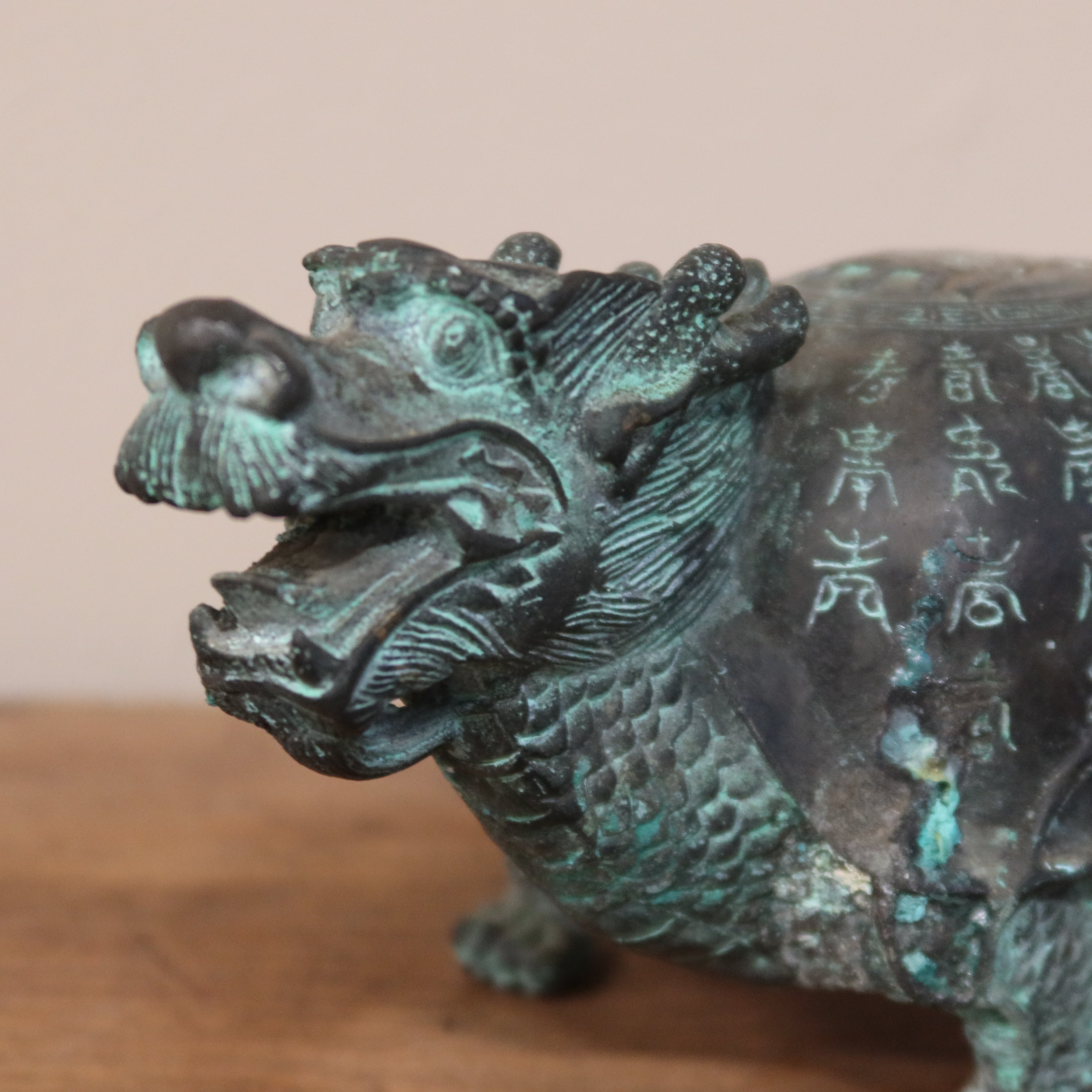 TARTARUGA "BIXI" IN LEGA