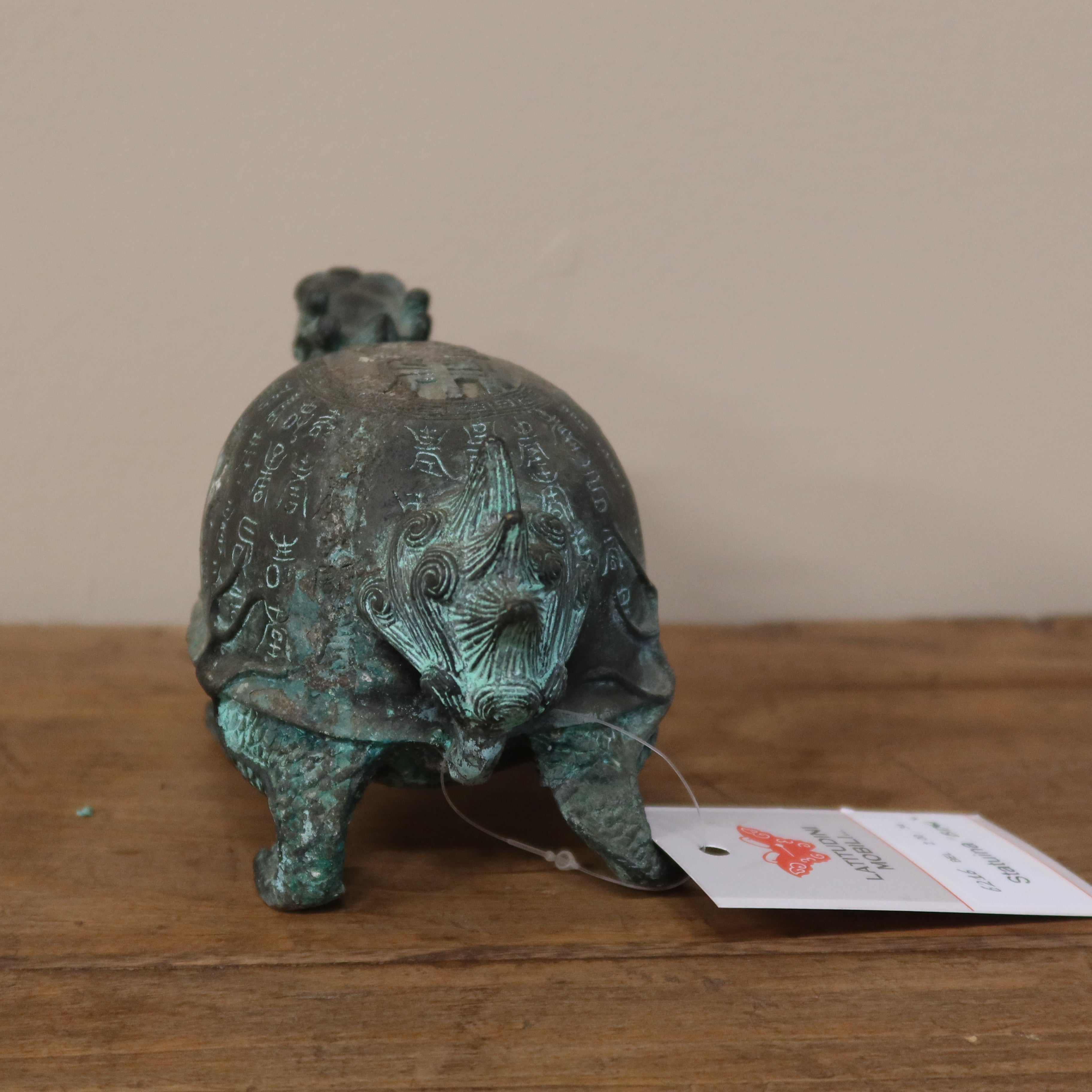 TARTARUGA "BIXI" IN LEGA