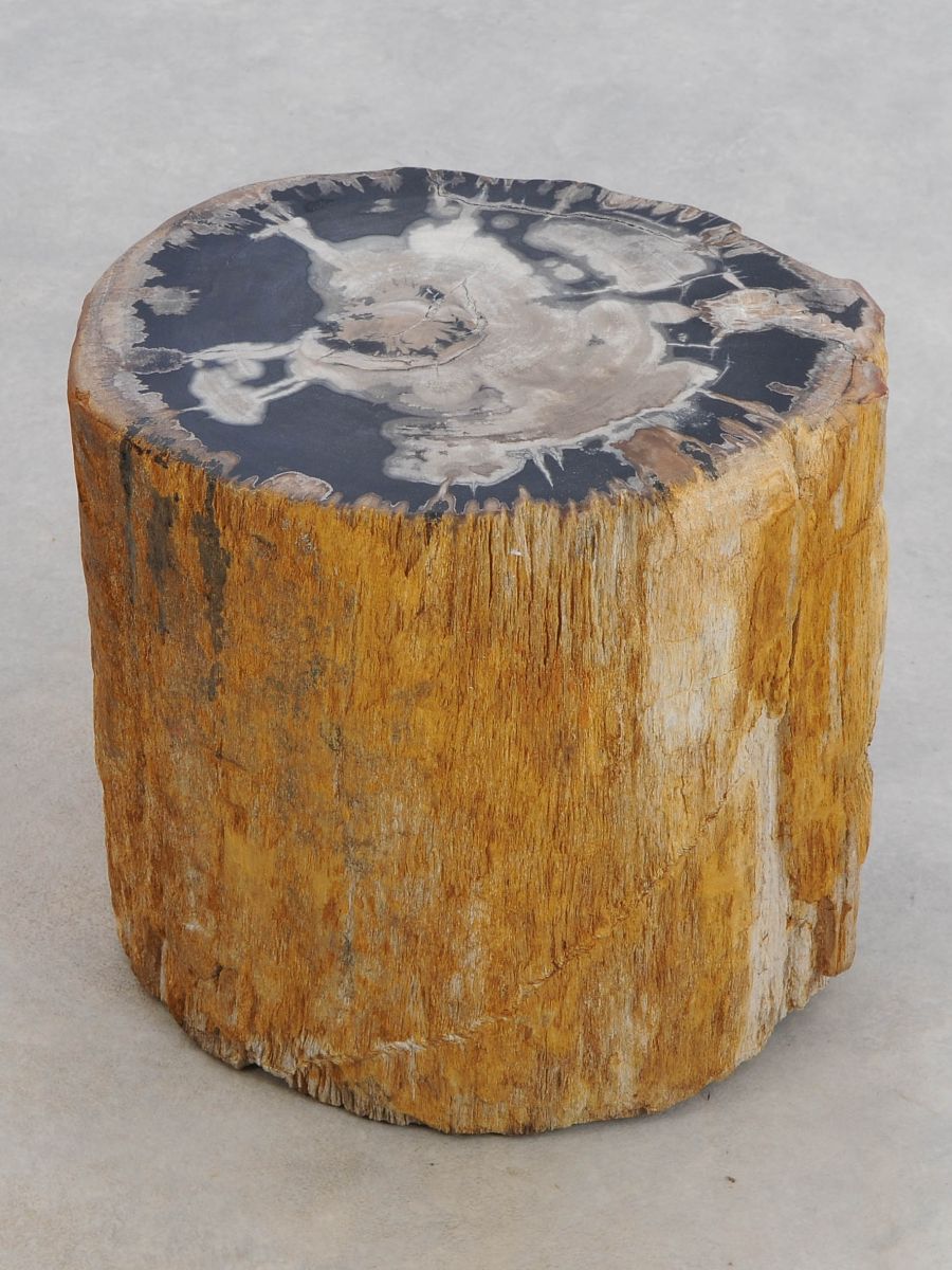 Tavolino tronco in legno pietrificato