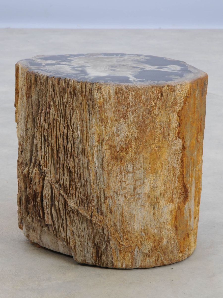 Tavolino tronco in legno pietrificato