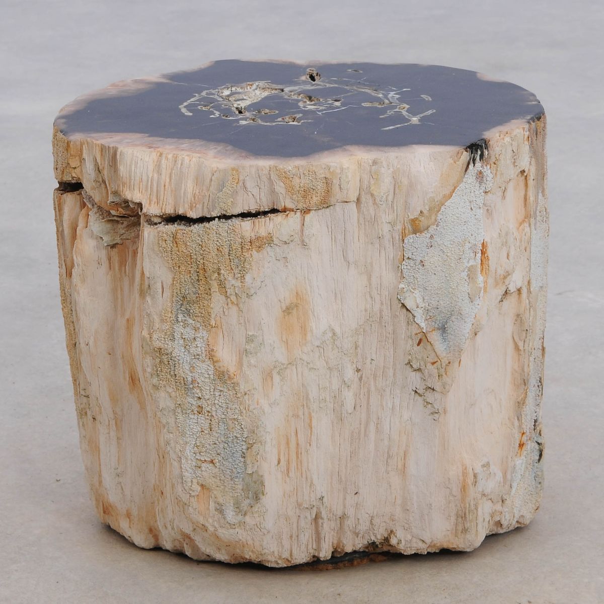 Tavolino tronco in legno pietrificato