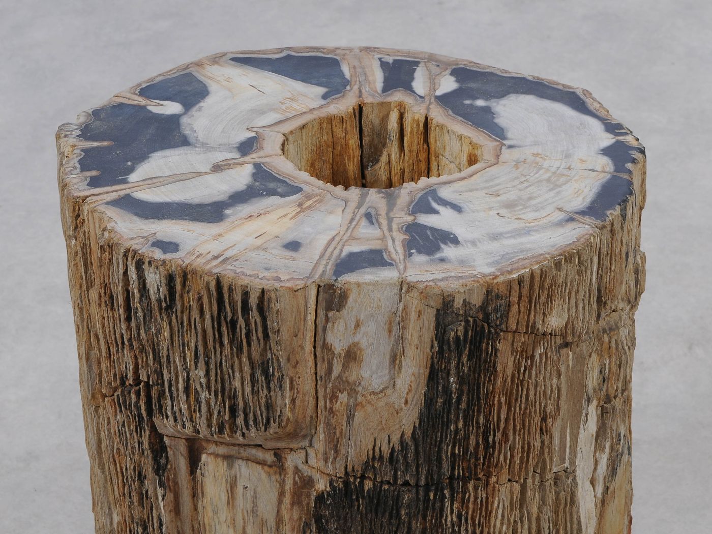 Tavolino tronco in legno pietrificato - 51325