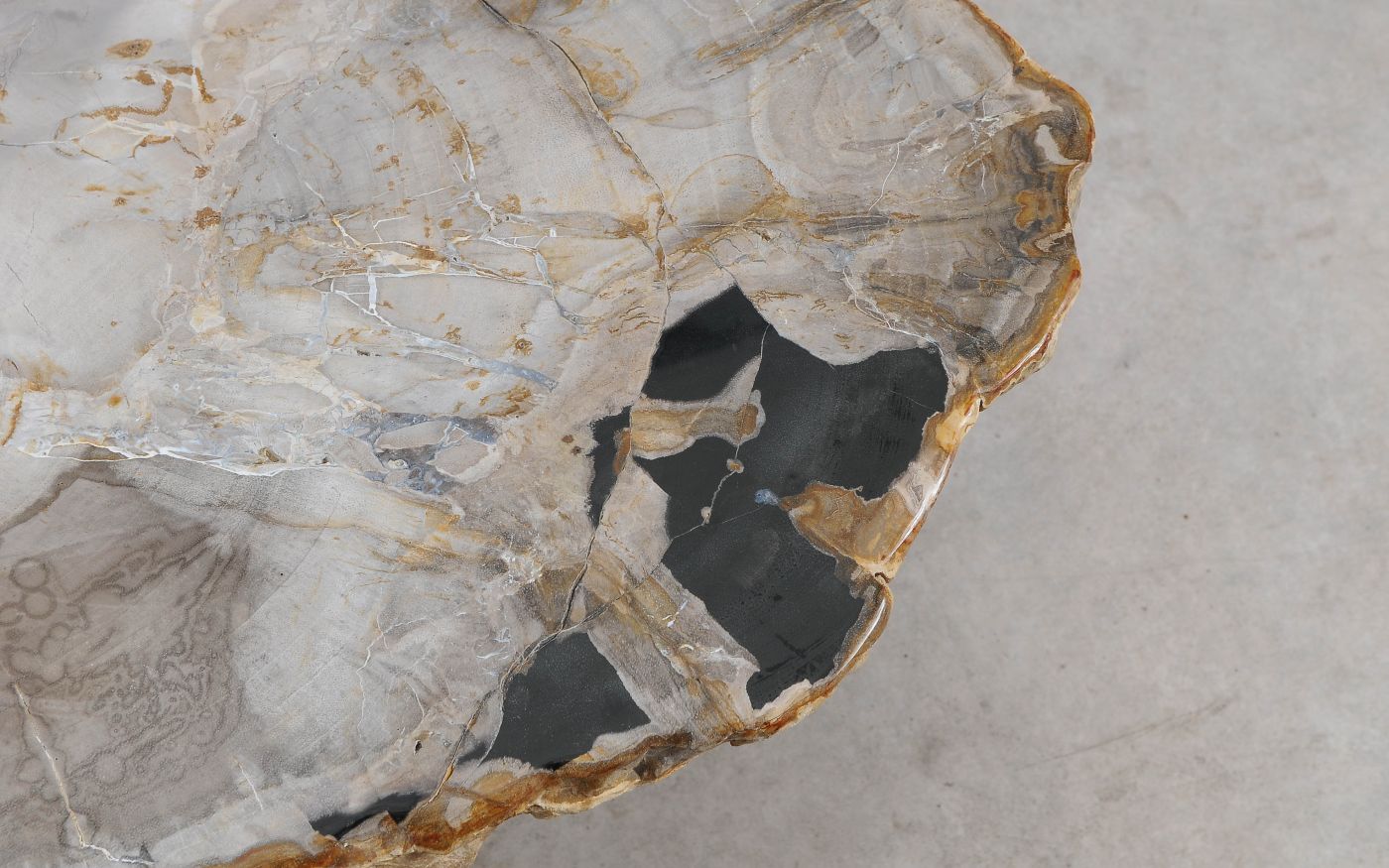 Tavolino in legno pietrificato