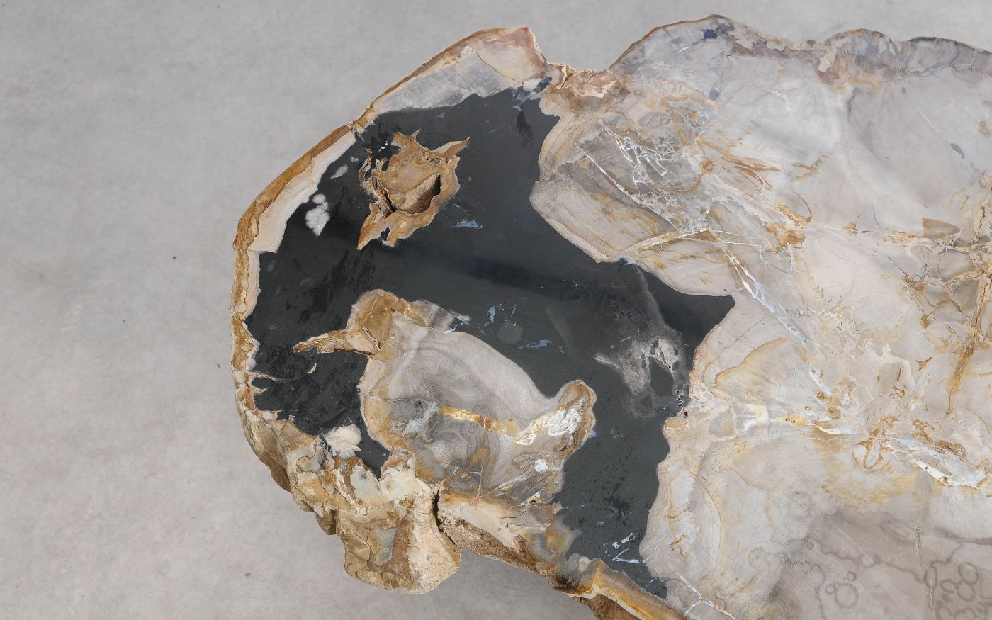 Tavolino in legno pietrificato
