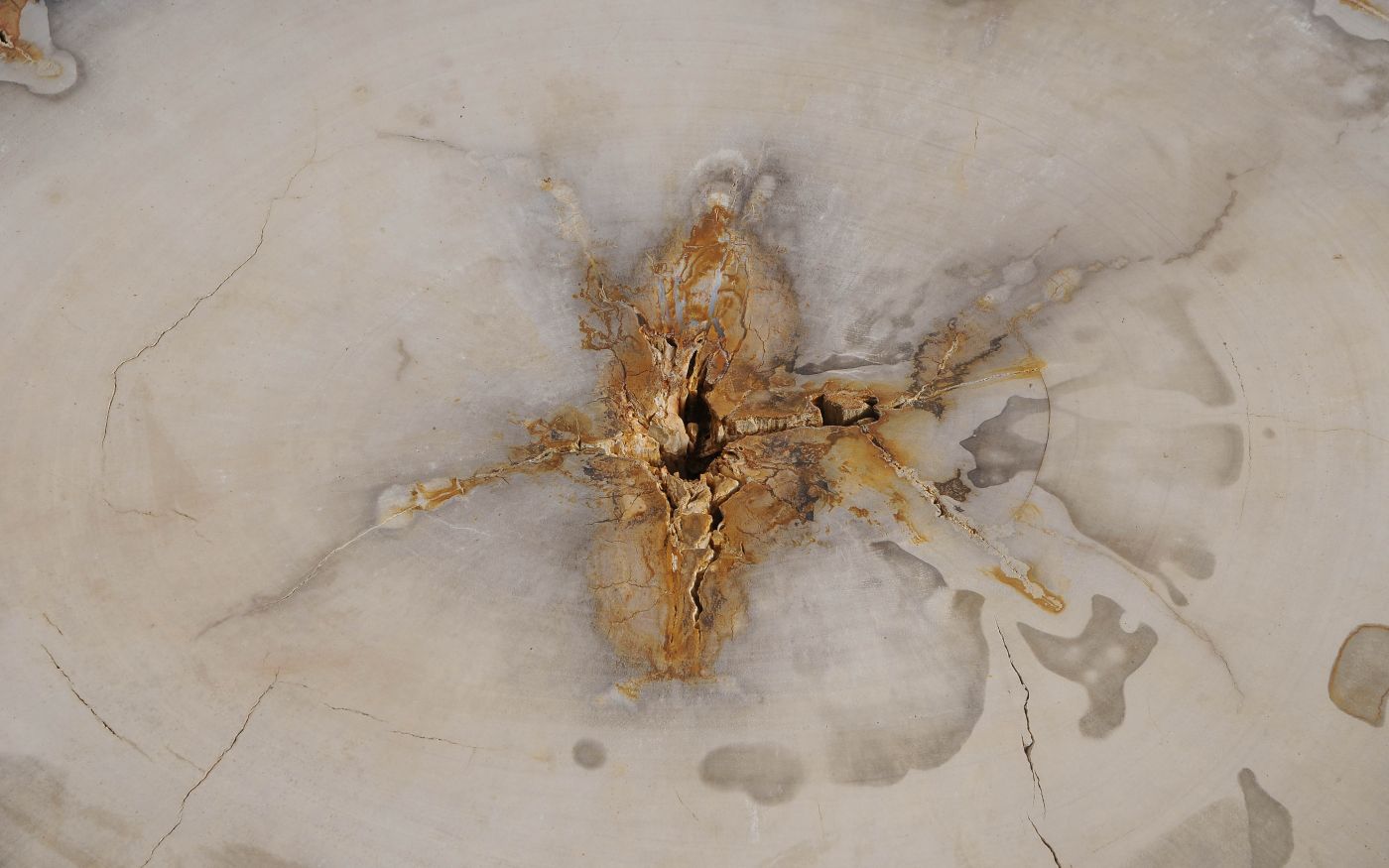 Tavolino in legno pietrificato - 57250