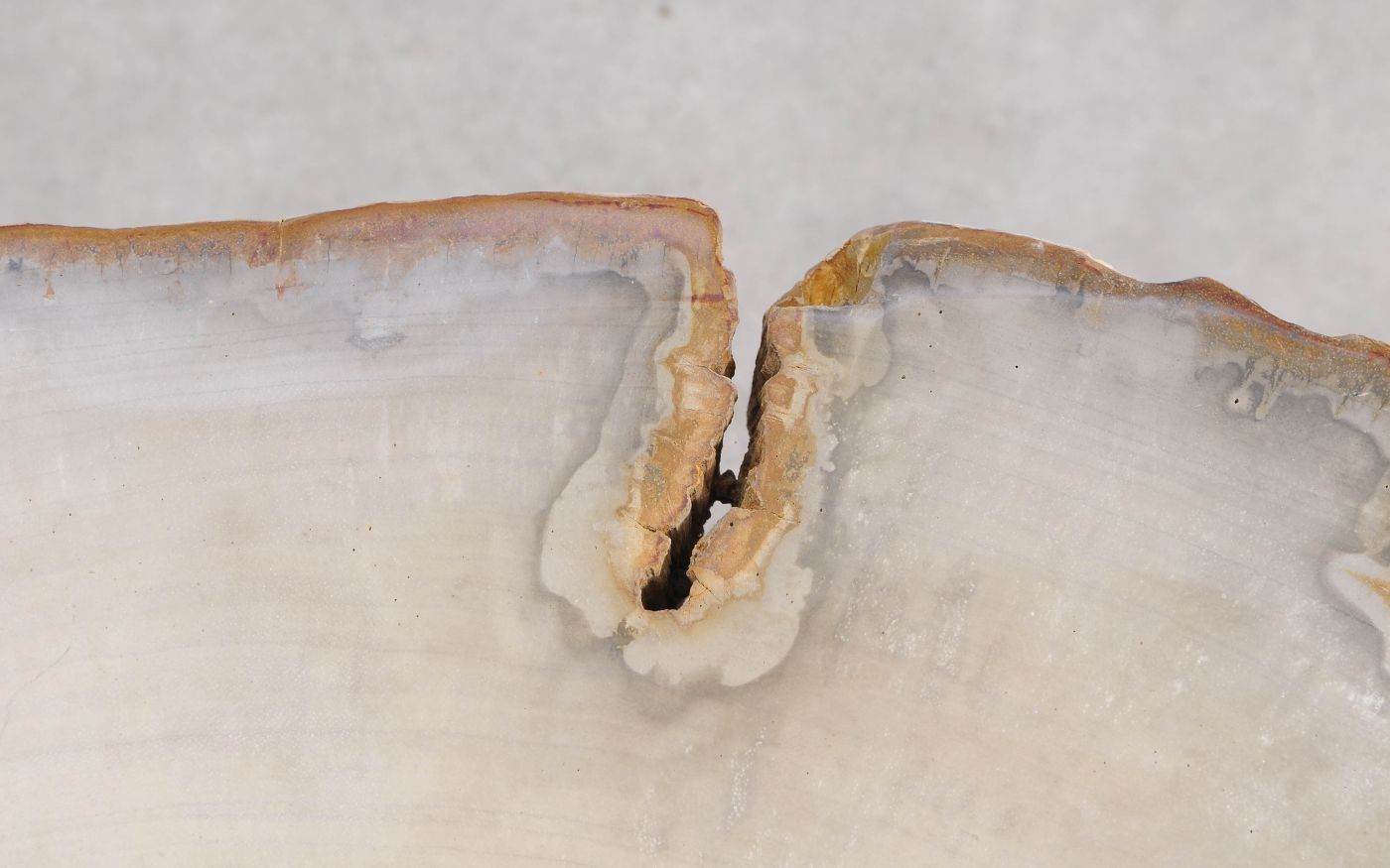Tavolino in legno pietrificato - 57250