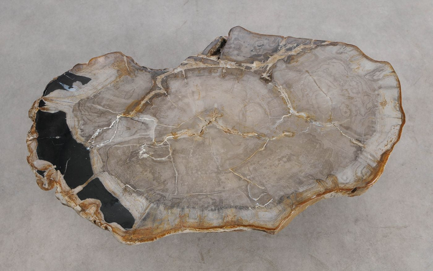Tavolino in legno pietrificato - 57266