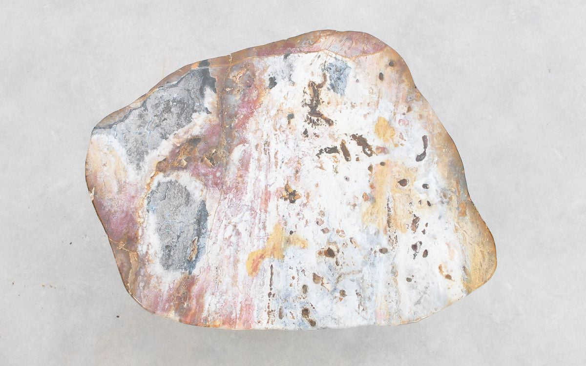 Lastra per tavolino in legno pietrificato - 43265