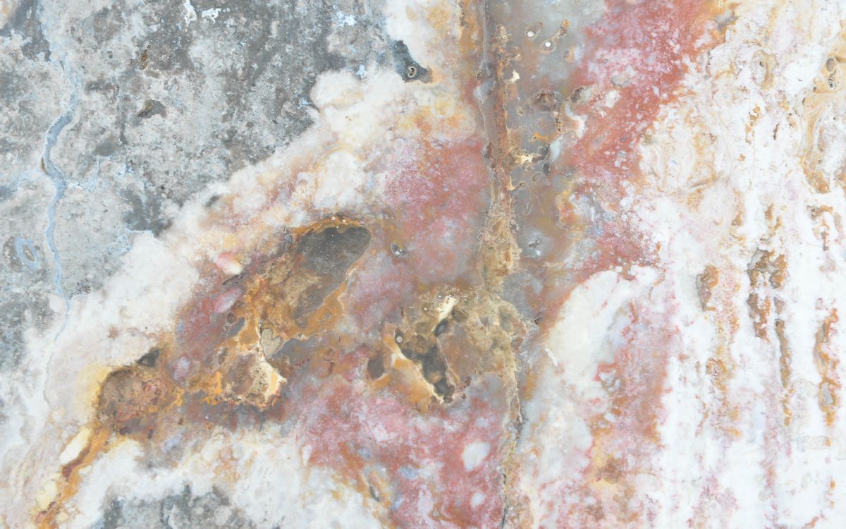 Lastra per tavolino in legno pietrificato - 43265