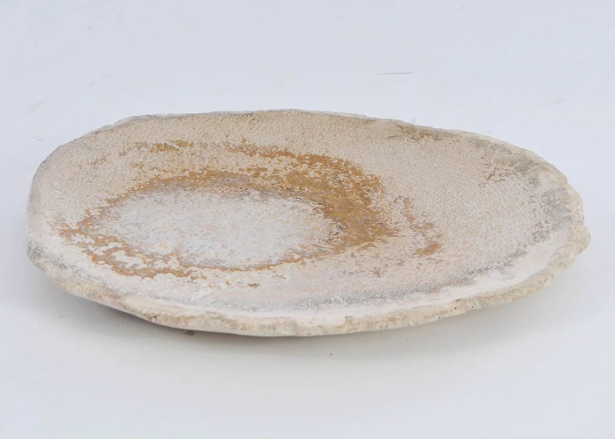 Piatto in legno pietrificato - 41015b