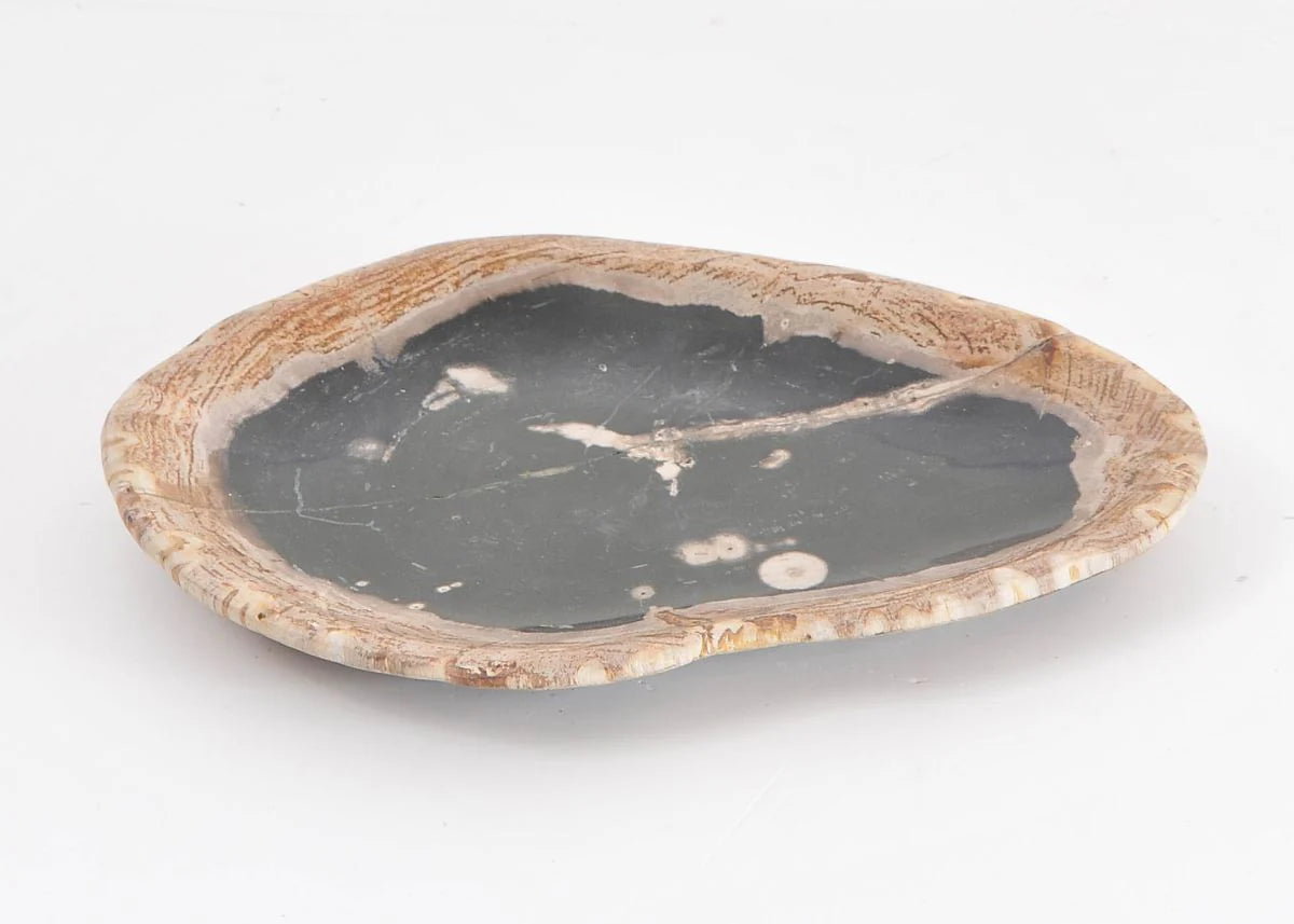 Piatto in legno pietrificato - 43108