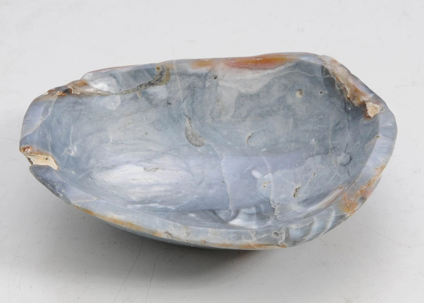 Piatto in legno pietrificato