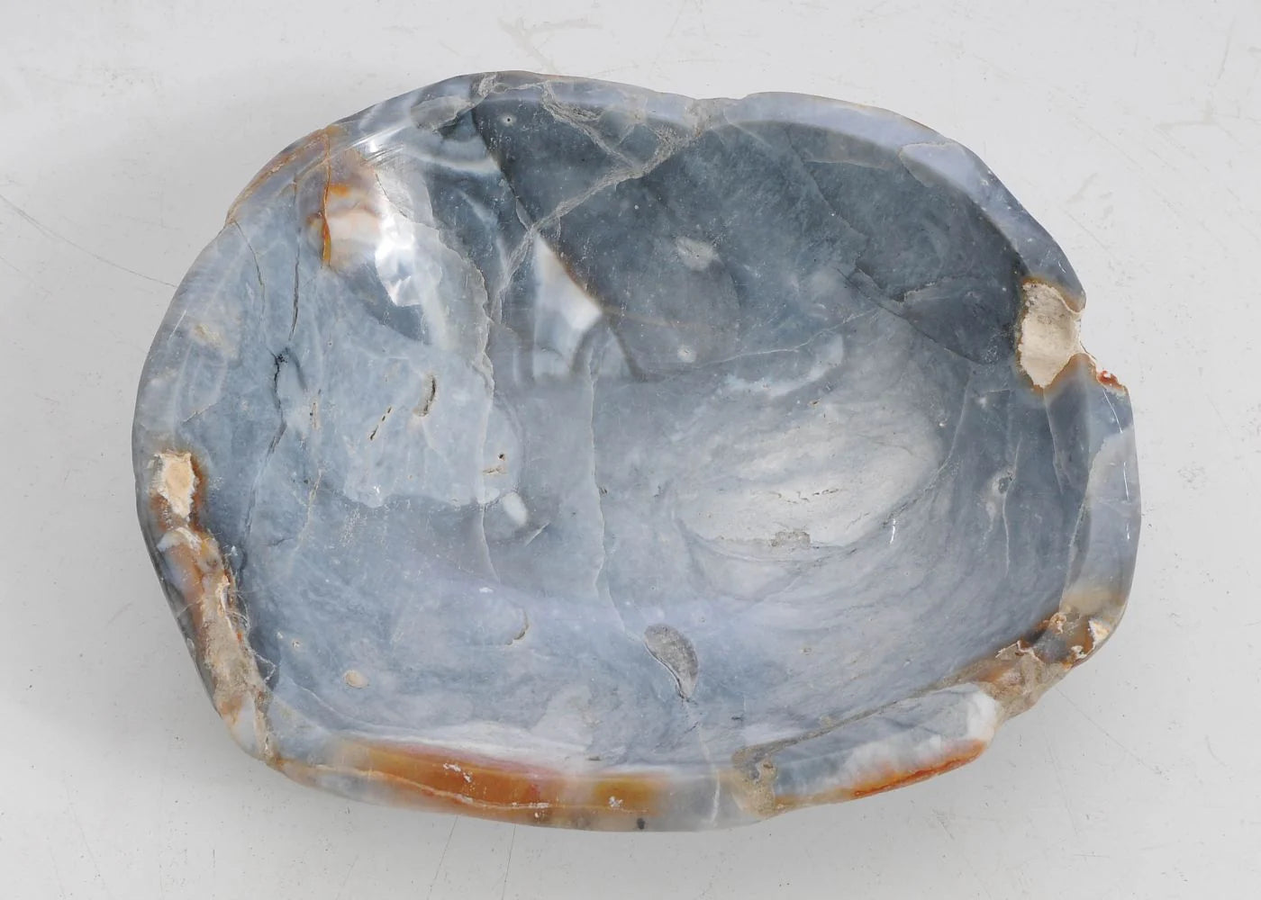 Piatto in legno pietrificato