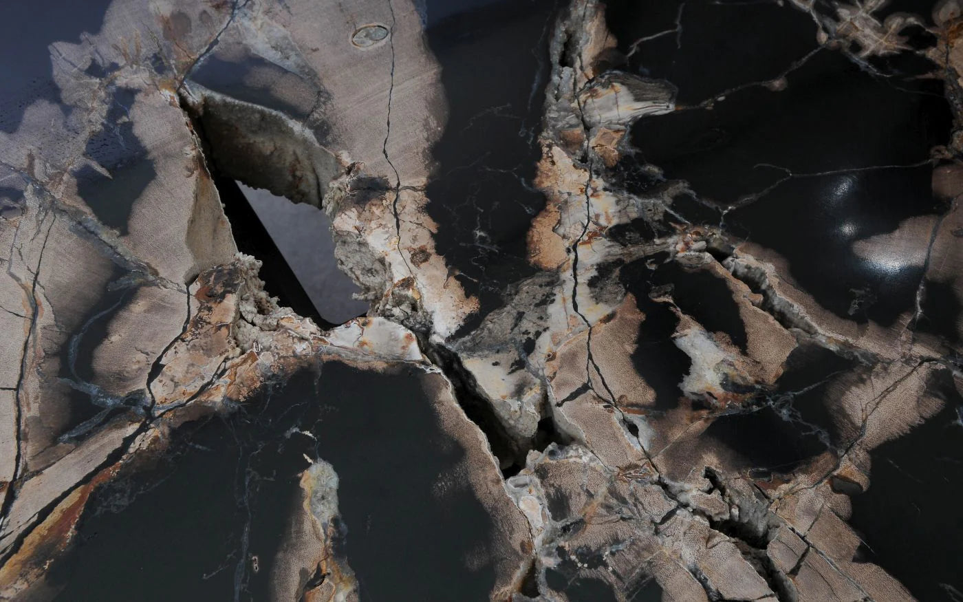 Lastra per tavolino in legno pietrificato - 53280