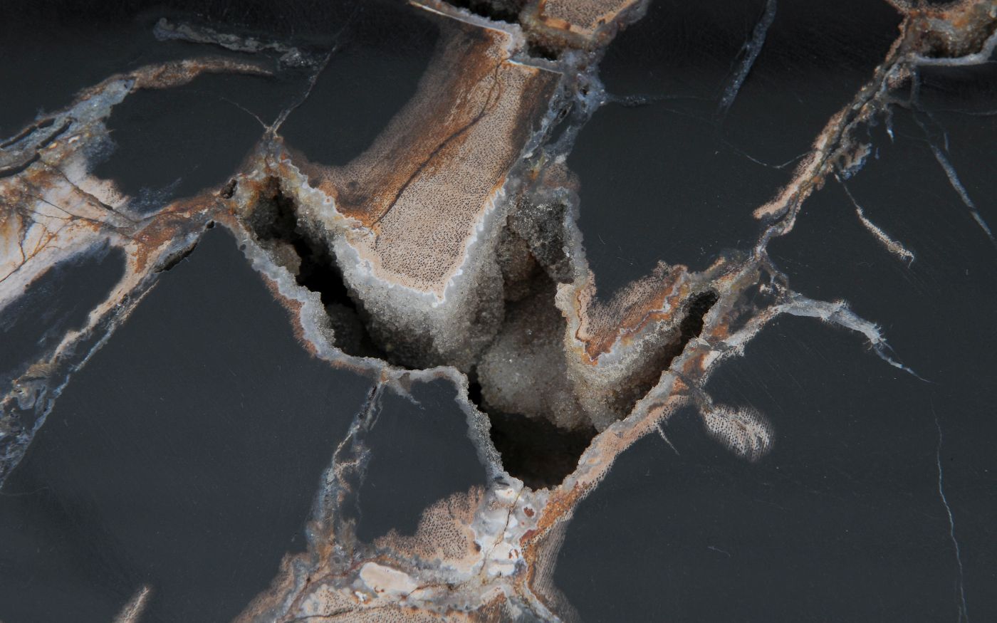 Lastra per tavolino in legno pietrificato - 53280