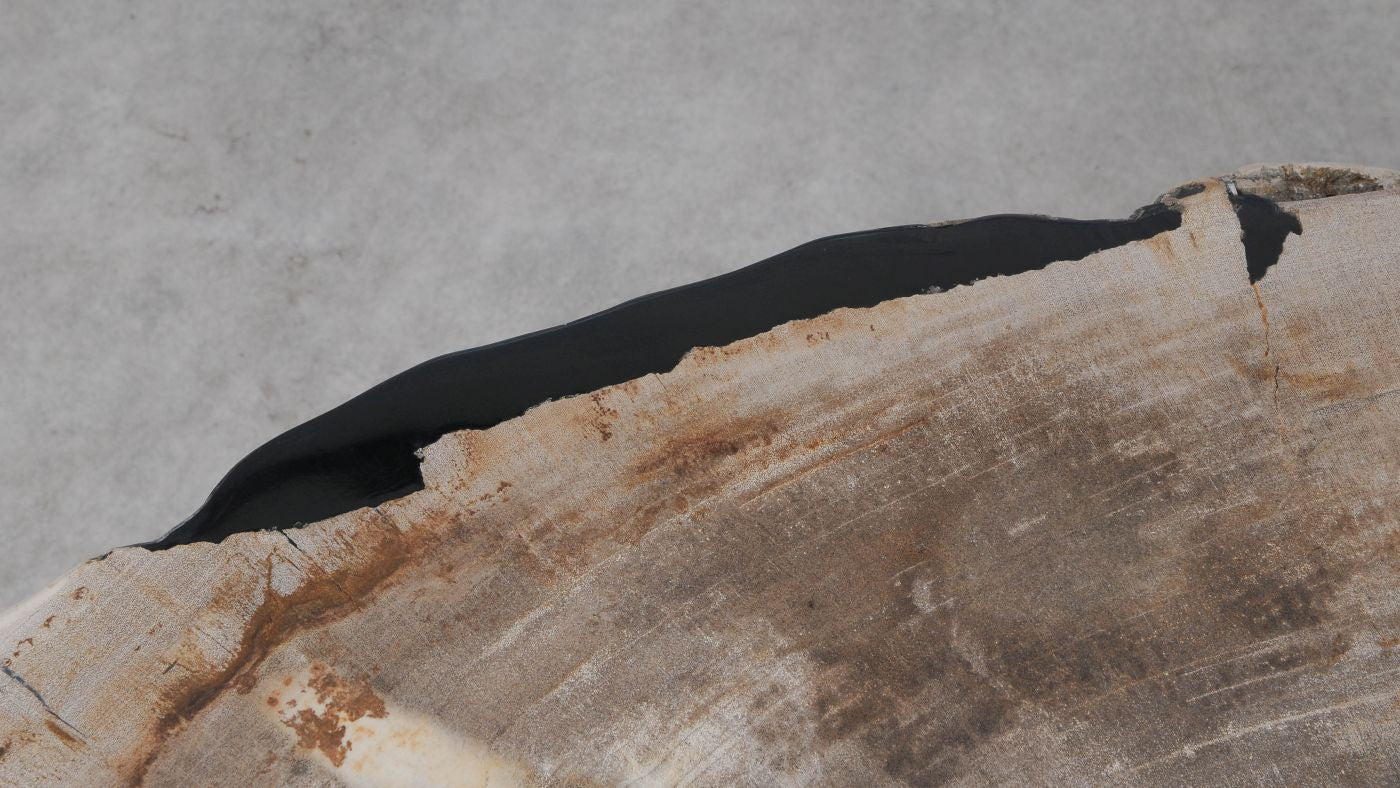 Lastra per tavolino in legno pietrificato - 53280