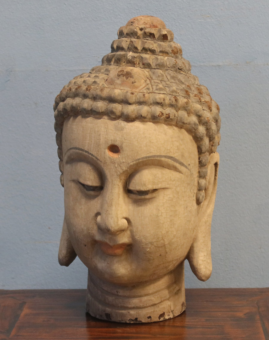 STATUE - TESTA DI BUDDHA LIGNEA  - SS-01617