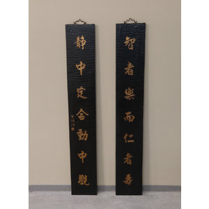 PANNELLI -  PANNELLO VERTICALE DEL FUJIAN CON IDEOGRAMMI - PP-11239